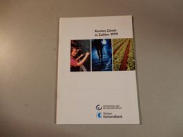 Kanton Zürich in Zahlen 1999
