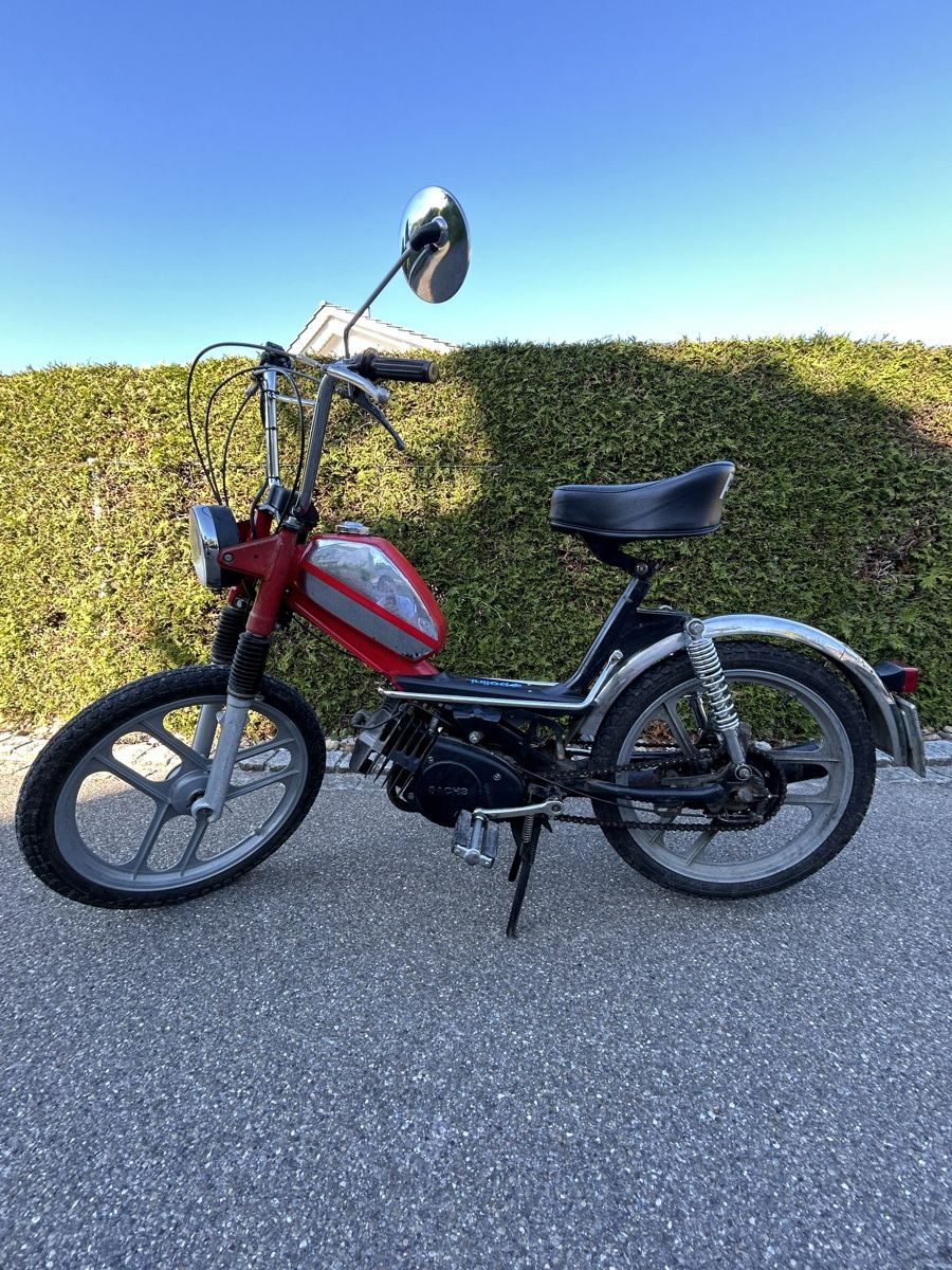 Pony Ciclomotori: Pony GTX 503 – Usato da Mörschwil venduto da sorabbit