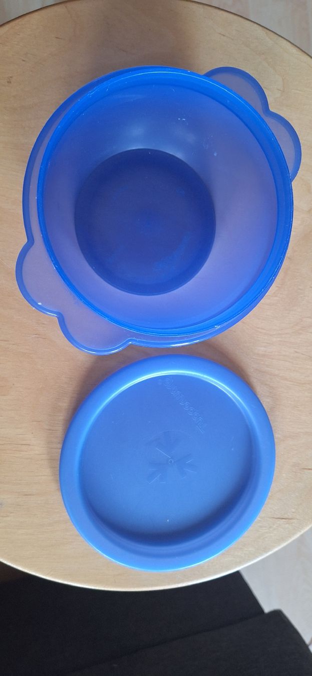Tupperware Contenitori & Simili: Praktische blaue Frischhaltedose. – Usato da Matten b. Interl venduto da Daeni_2000 1