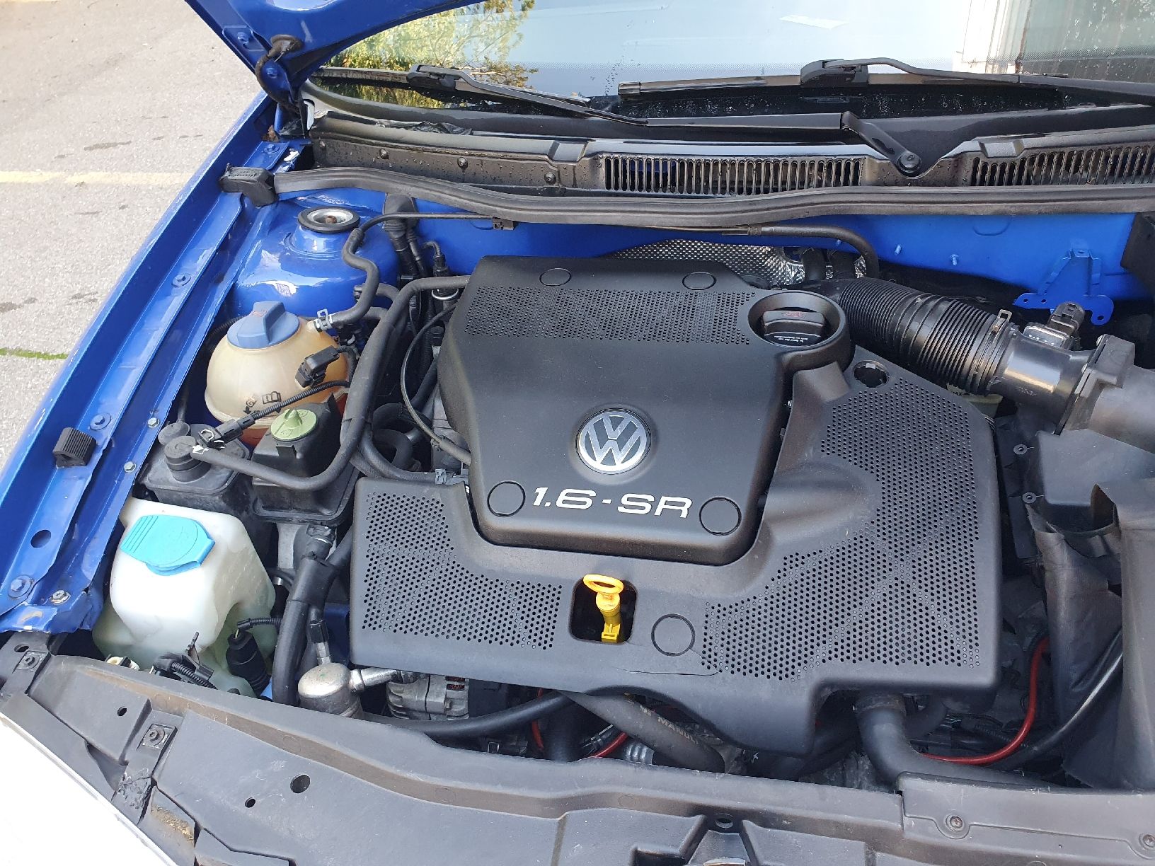 VW Automobili: VW Golf 1.6SR Tuning mfk: 11.23 ab Platz – Usato da Bern venduto da MsDreams 6