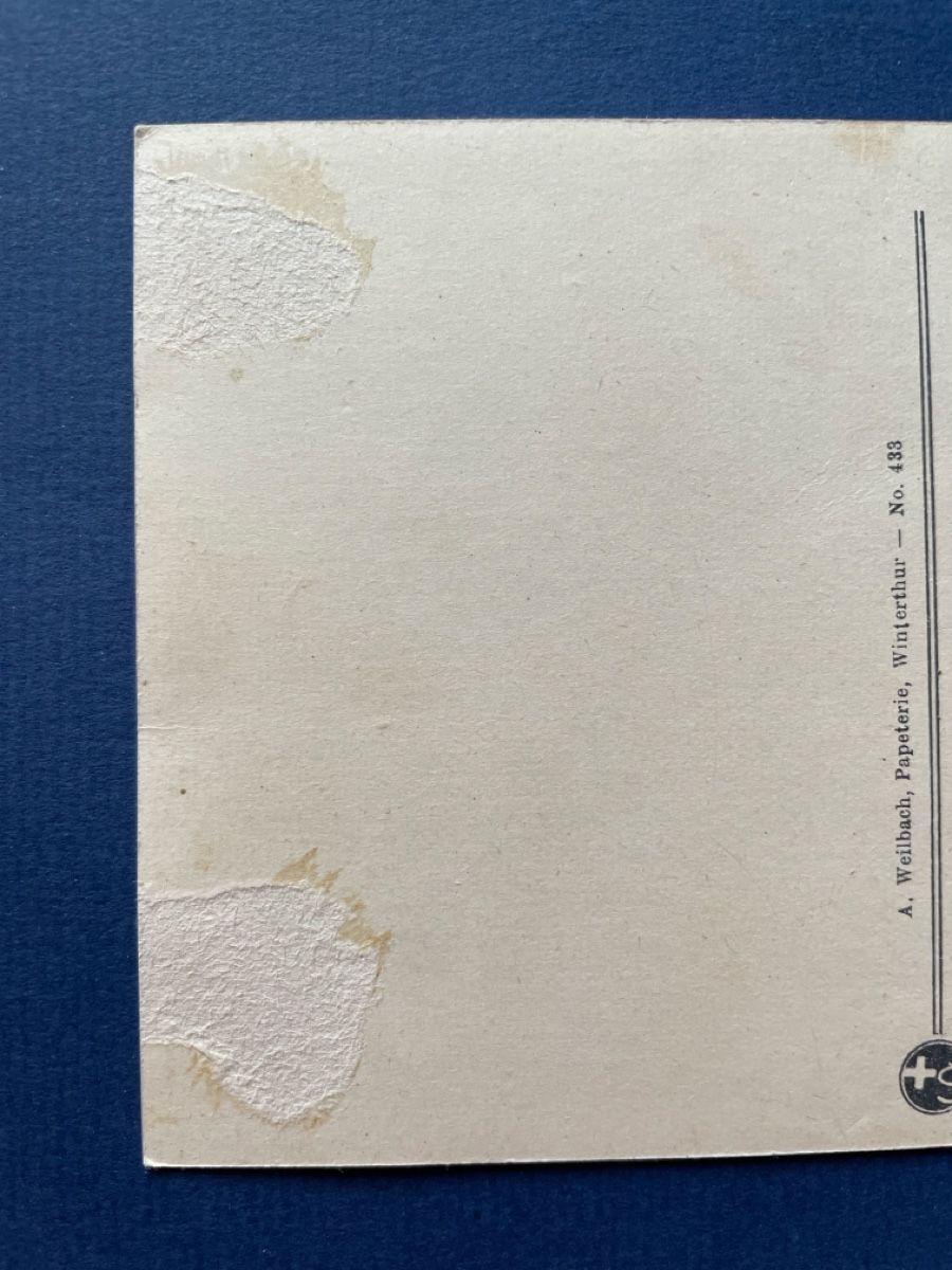 Cartoline postali: Winterthur - Totalansicht vom Bäumli, alte Ansichtskarte – Usato da Neuhausen am Rheinfall venduto da Arielle55 2