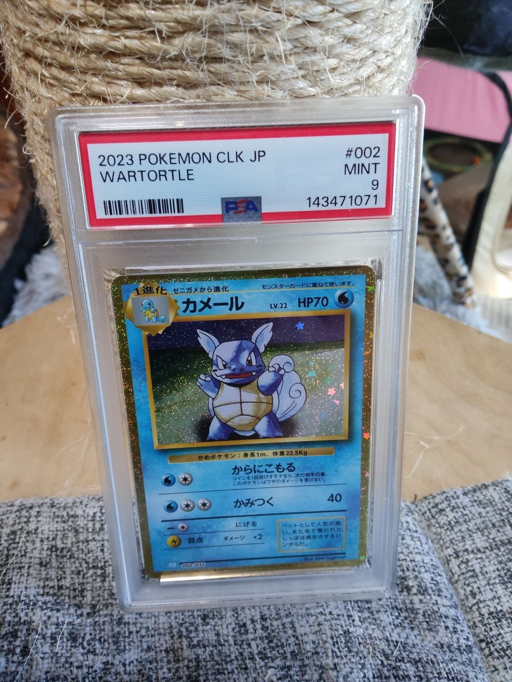 Pokémon Carte collezionabili: Pokémon PSA9 consecutive Chameleon wartortle Ivysaur Classic – Nuovo (secondo la descrizione) da Vezio venduto da 41181 2