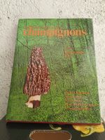 Les quatre saisons des champignons 