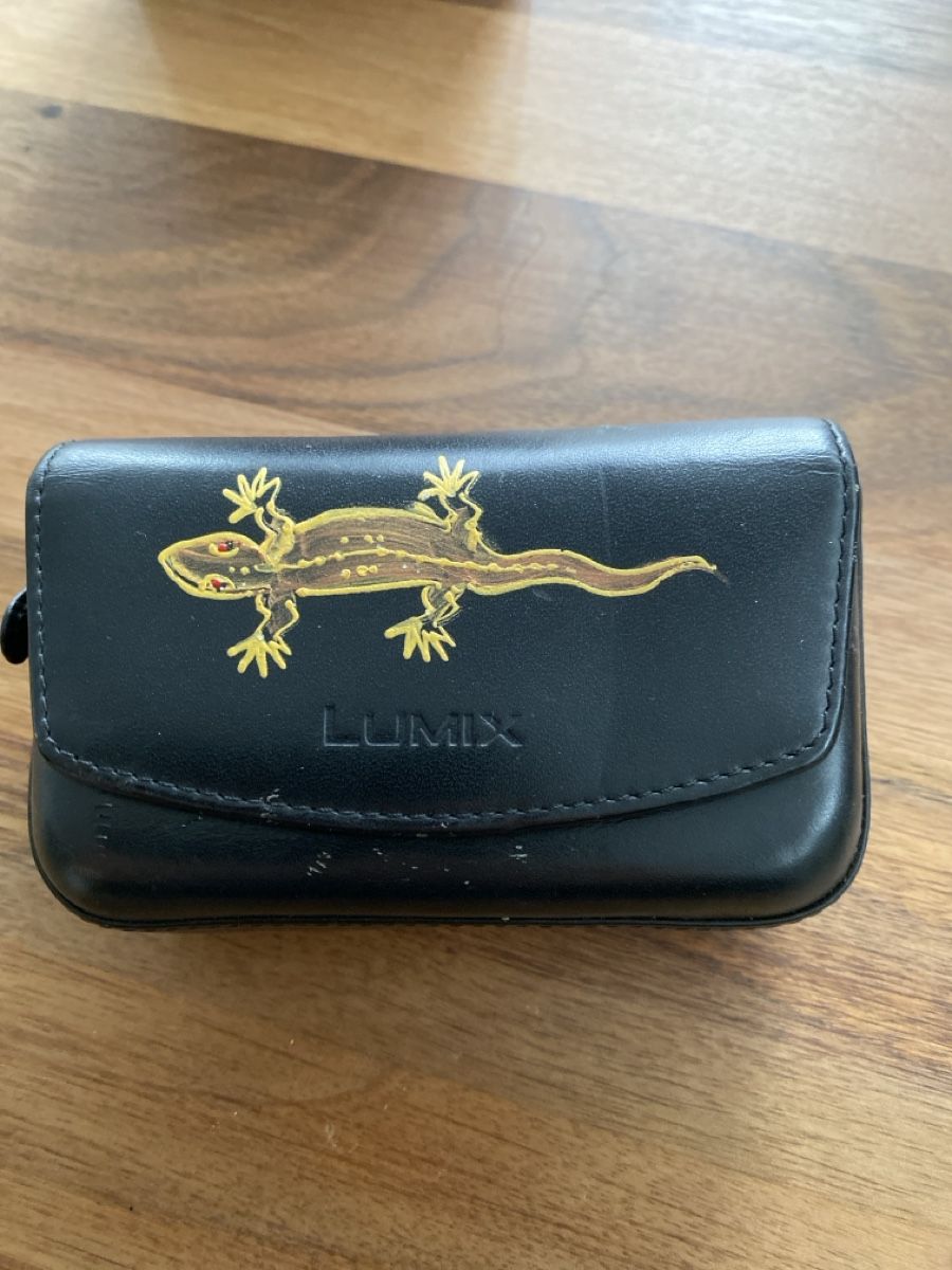 Panasonic Appareil photo: LUMIX AVCHD Lite Kamera – D'occasion à Wagen par Ryannik 4