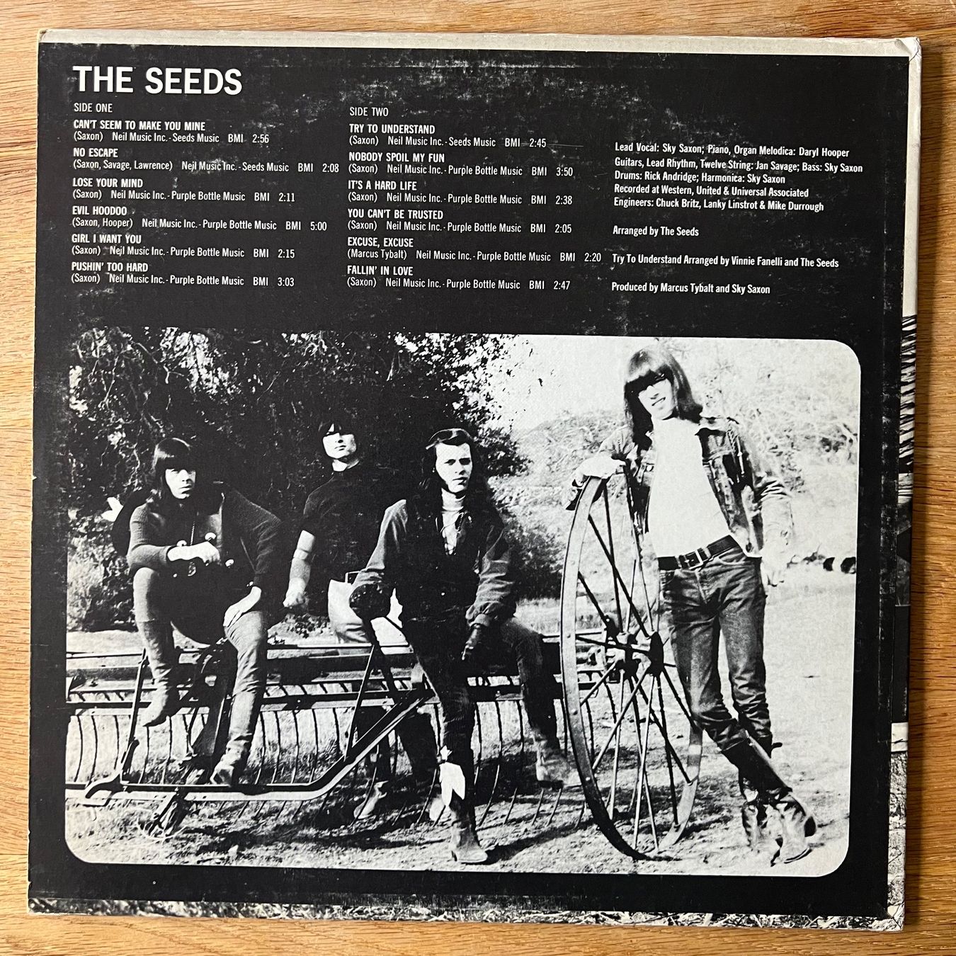 Dischi in vinile: Seeds - Same / US-Press. 1966 - Very nice Copy – Usato da Gais venduto da soundcave57 3