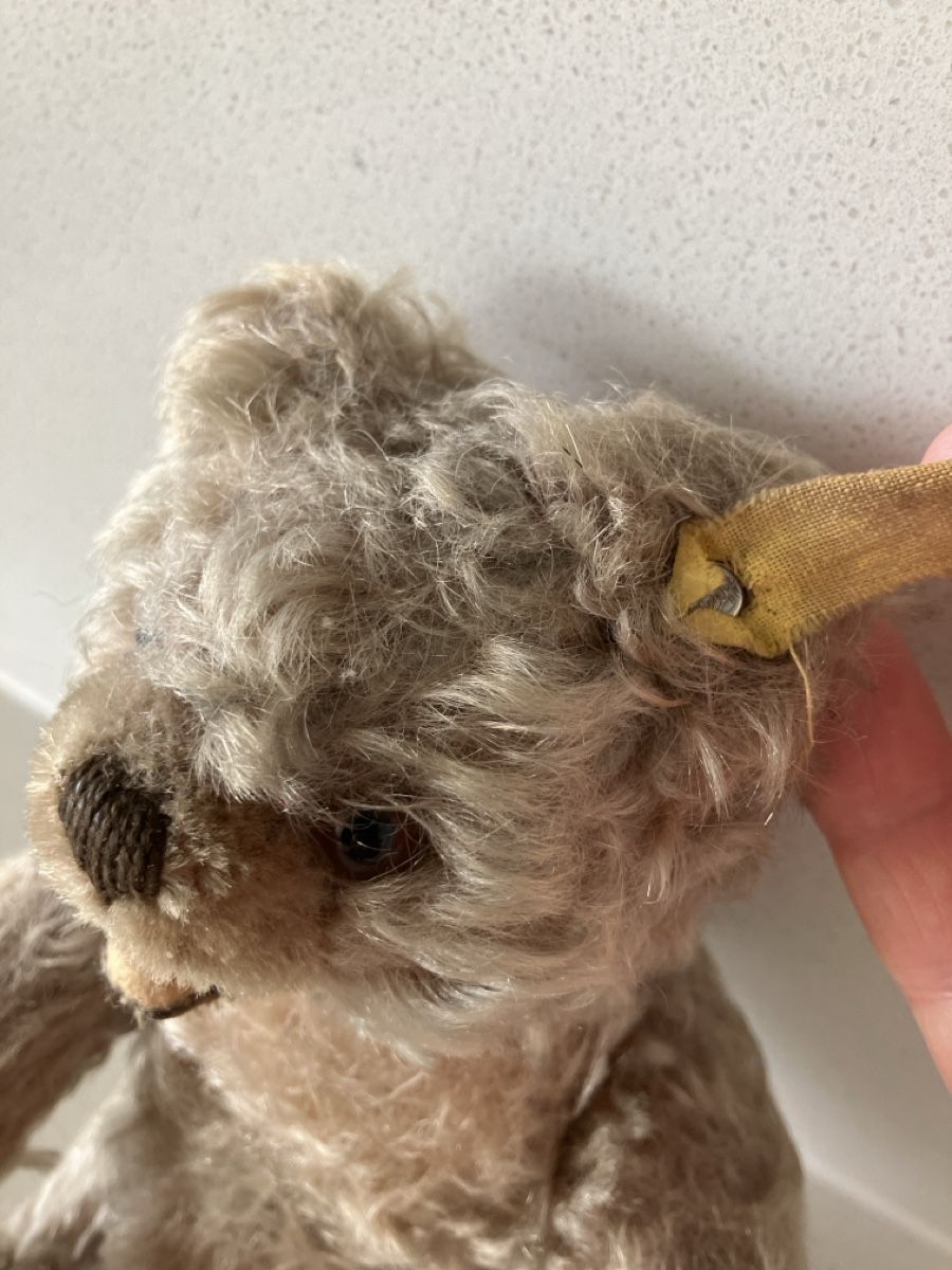 Steiff Spielzeuge: Teddybär Steiff mit offenem Mund – Gebraucht aus Zürich von Combat02 1