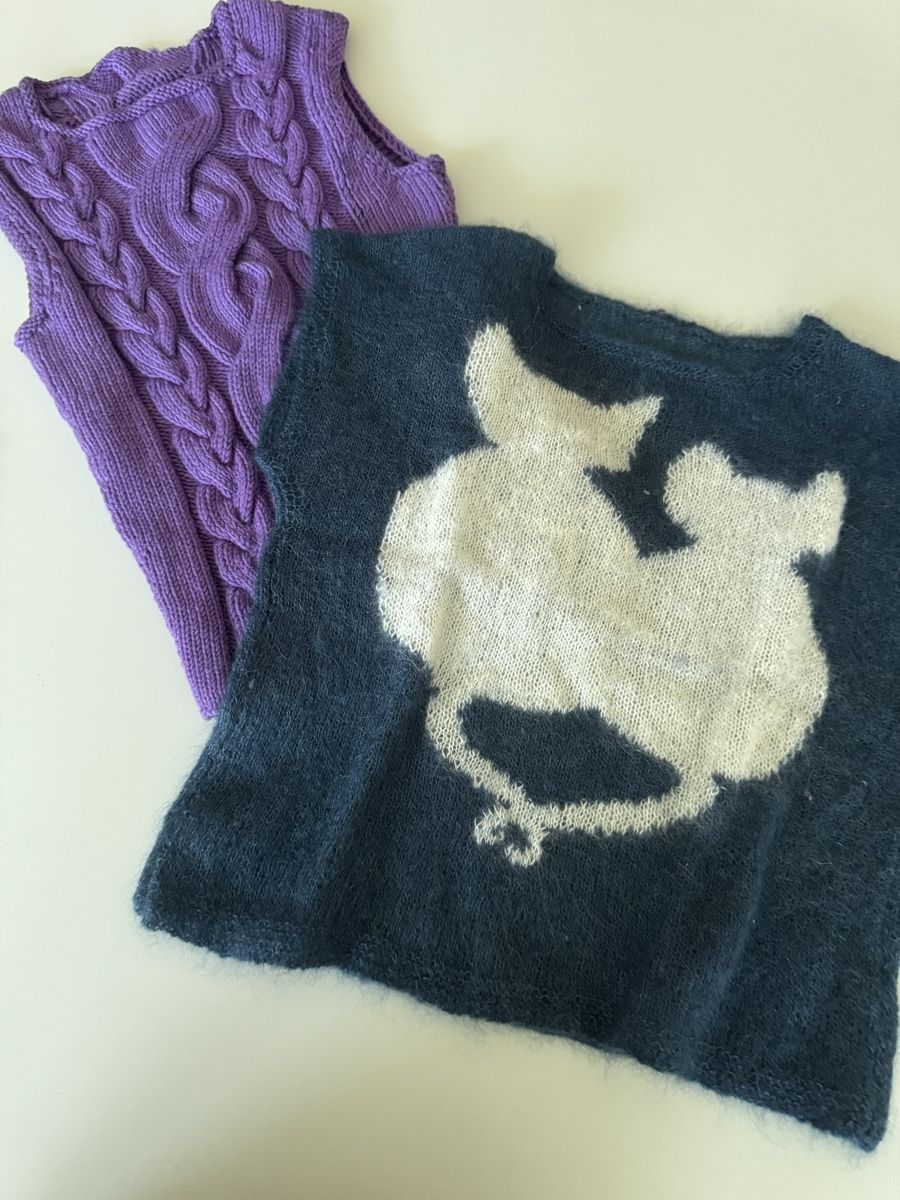 Kleiderpakete & -sets: Kleiderpaket xs und s – Gebraucht aus Lachen SZ von LuganoLugano 5