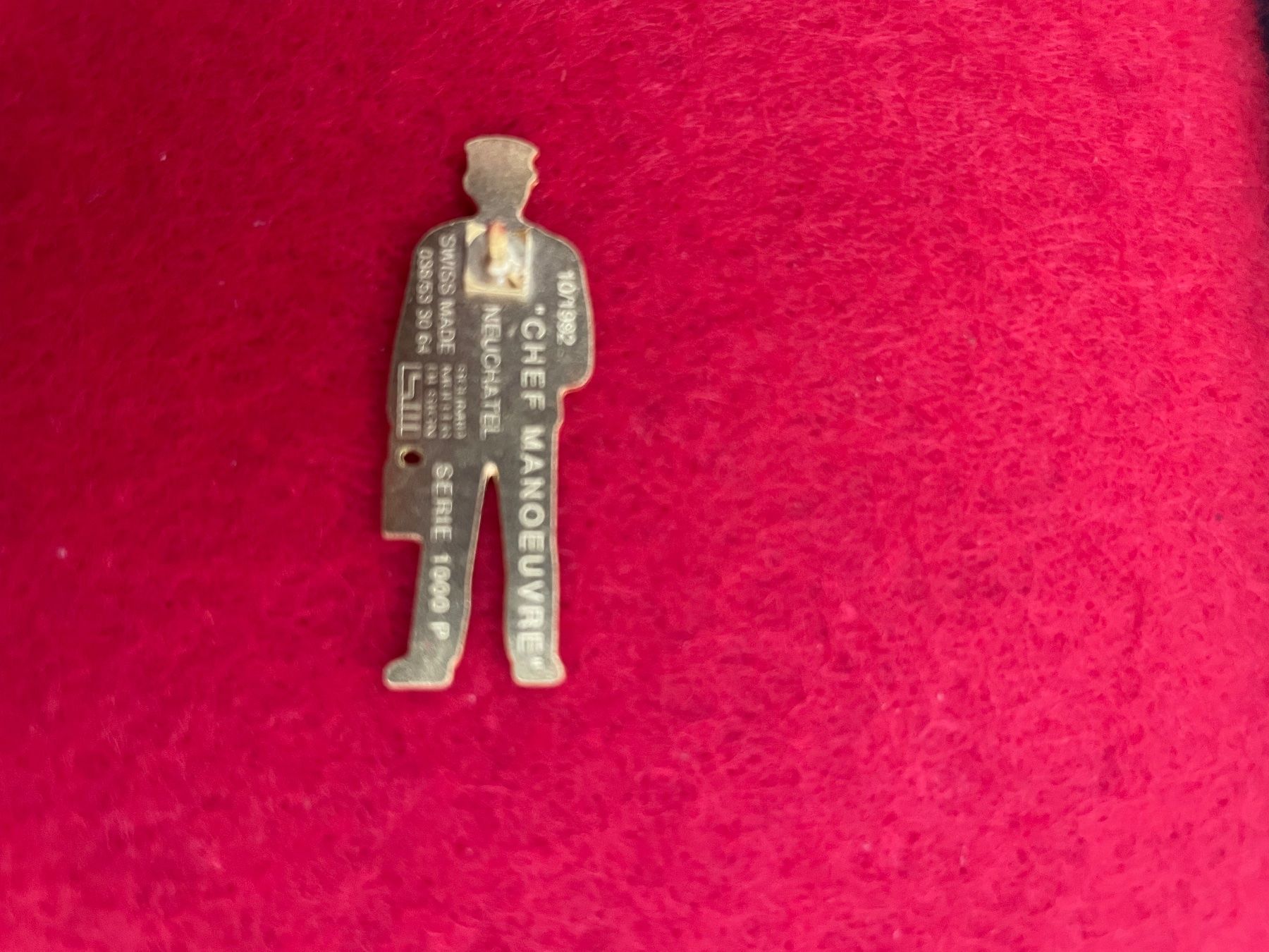 Plaketten & Abzeichen: Pin's CFF/SBB – Gebraucht aus Auvernier von pipaille 1