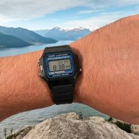 Casio Armbanduhren F-105W-1ADF