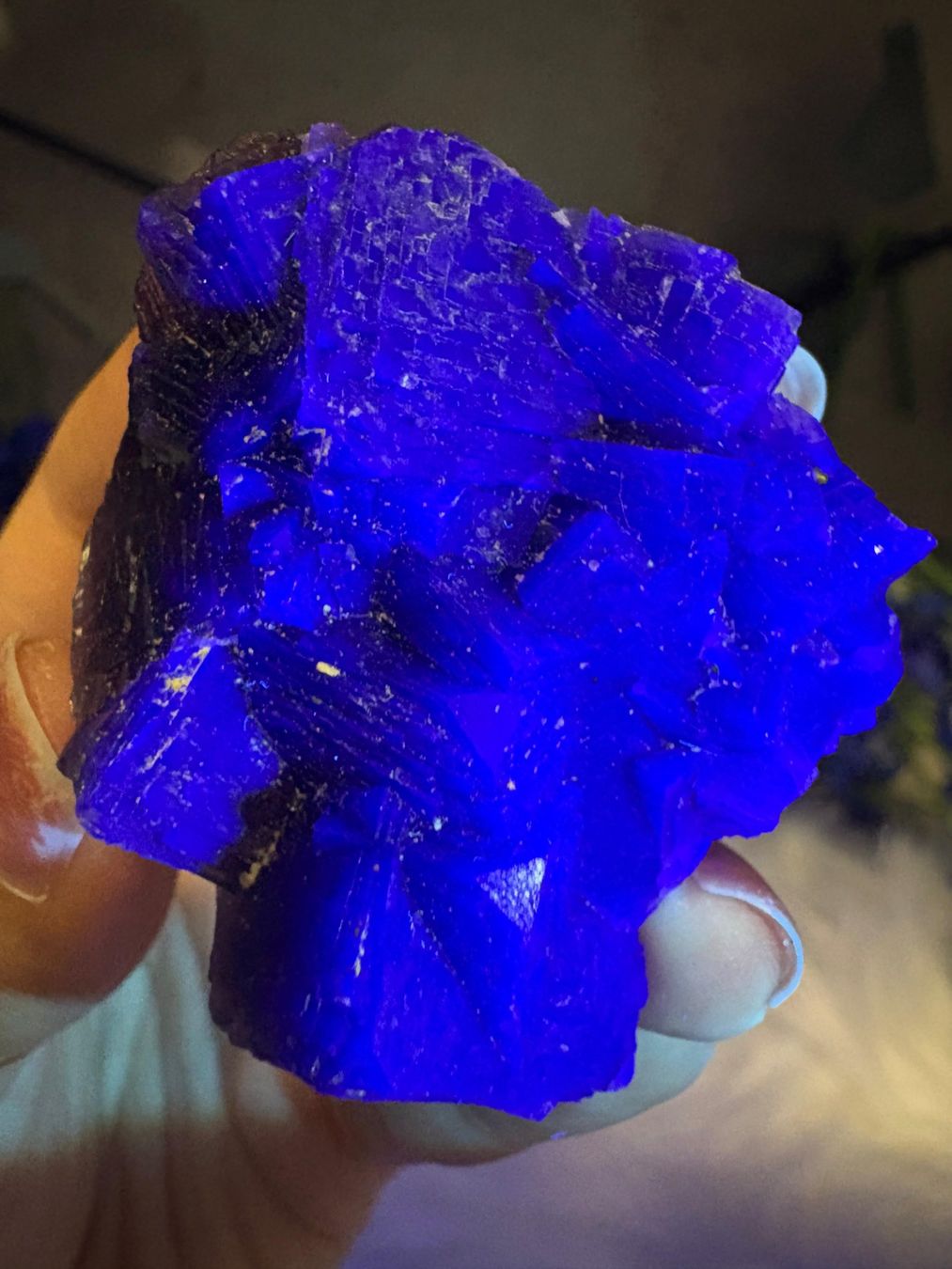 Pietre preziose: Lila Fluorit von Anhui – Nuovo e nell'imballaggio originale da Neuheim venduto da m.hald 1