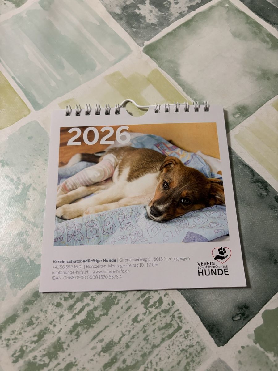 Kalender: Calendario 2026 – Neu und originalverpackt aus Schwyz von Francesca54