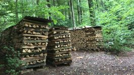 Brennholz / Cheminéeholz