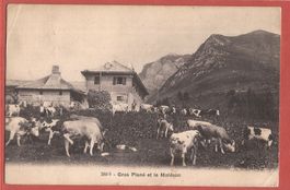 Gros Plané et le Moléson - Landwirtschaft bei Gruyères 1913