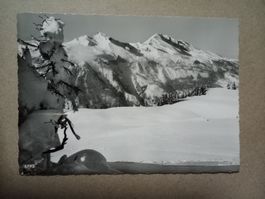 Brambrüesch gegen Calanda s/w Karte