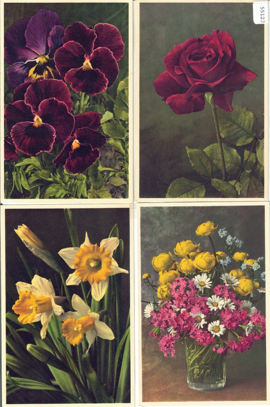 Cartoline postali: 4 AK - Blumen - Photo: E. Gyger – Usato da Ettingen venduto da Kartenplanet