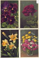 4 AK - Blumen - Photo: E. Gyger