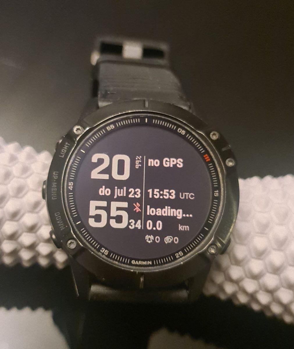 Garmin Smartwatch: Original Garmin Fenix 6 – Usato da Zürich venduto da ok1 1