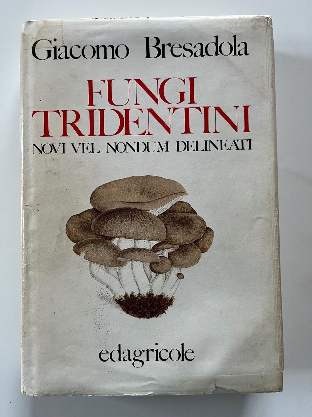 Bücher: Fungi Tridentini Giacomo Bresadola – Gebraucht aus Laufen von Nuria44 1