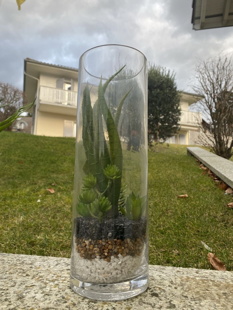 Pflanzen & Samen: Plante artificielle – Gebraucht aus Blonay von Ollorvi