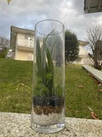Plante artificielle