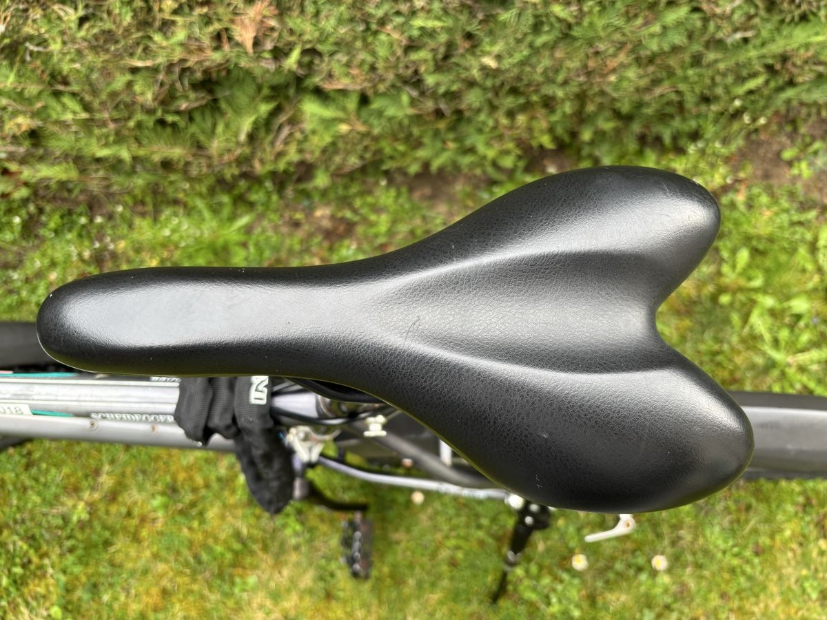 K2 Biciclette: Super light Scheidegger K2 Grey – Usato da St-Sulpice VD venduto da Maddi_the_biker 1