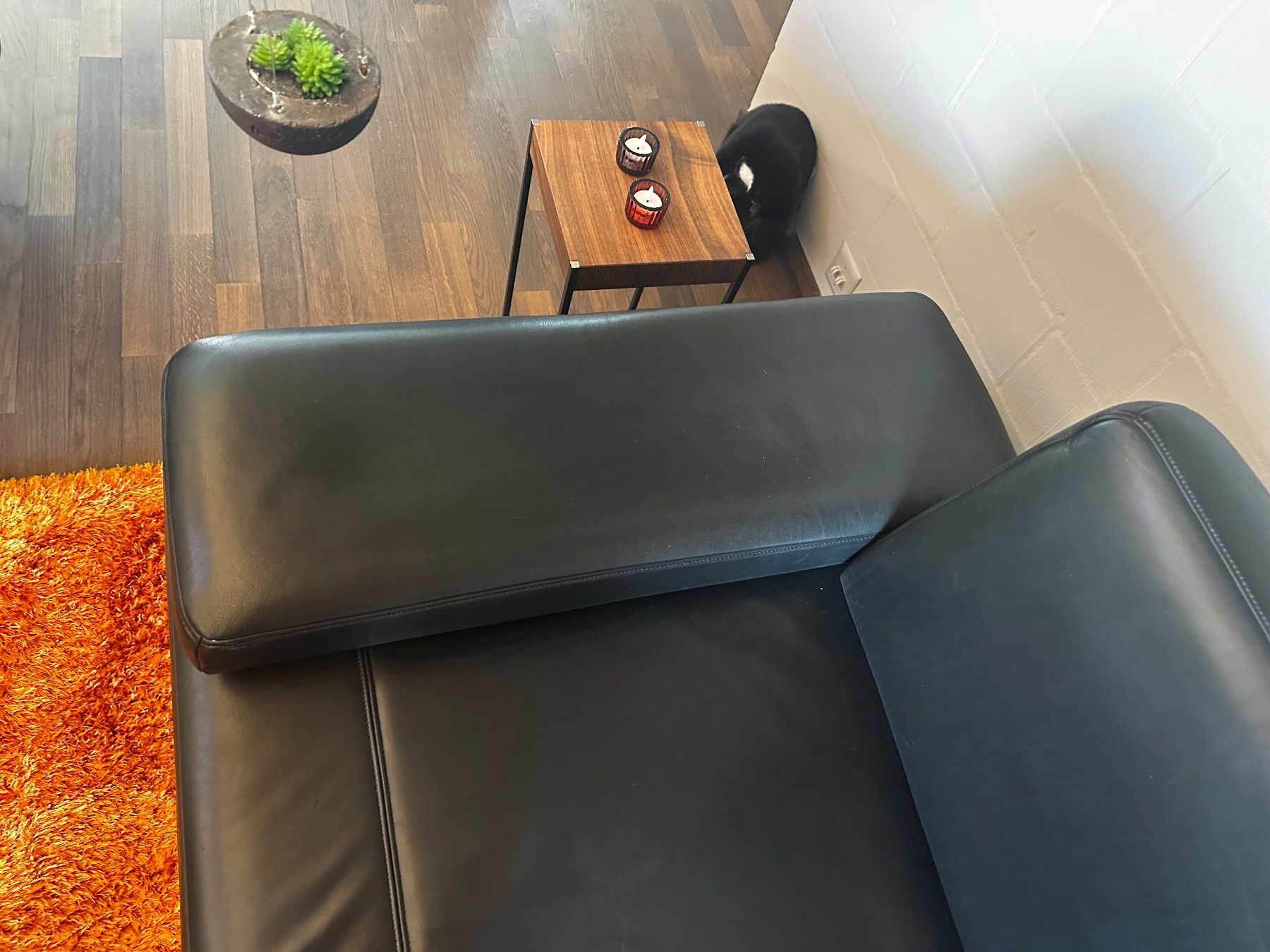 De Sede Sofas: de Sede Ledersofa – D'occasion à Hünenberg See par Johasmin 4