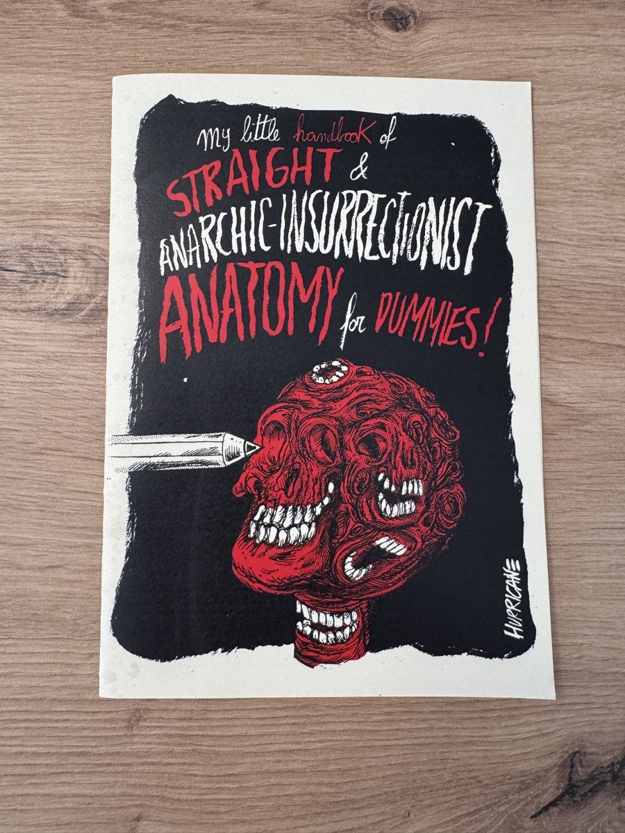 Libri: Handbuch Anatomie f. Dummies! Hurricane Ivan – Usato da Biberist venduto da etesummer