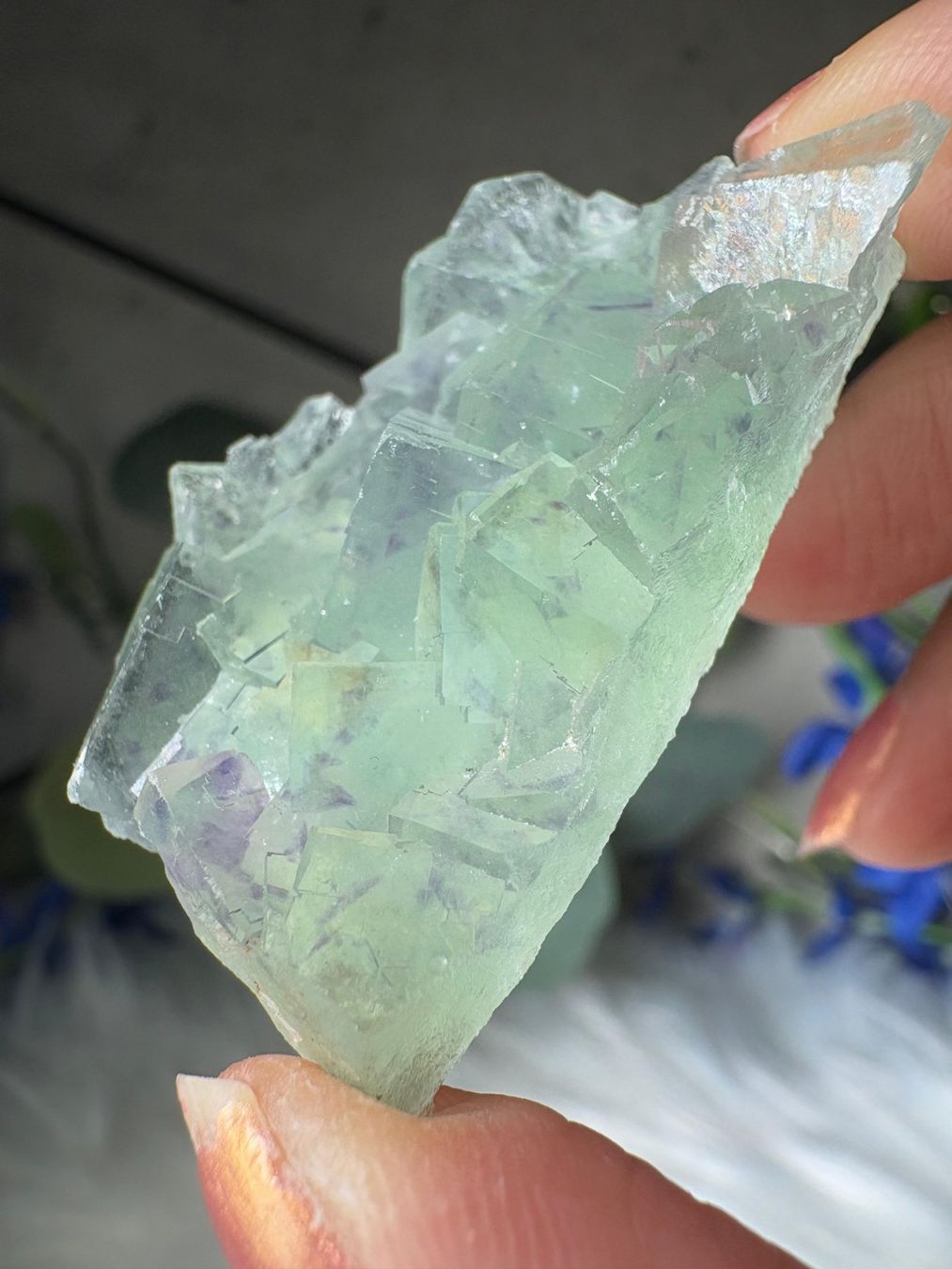 Pietre preziose: Grüner Fluorit – Nuovo (secondo la descrizione) da Neuheim venduto da m.hald 4
