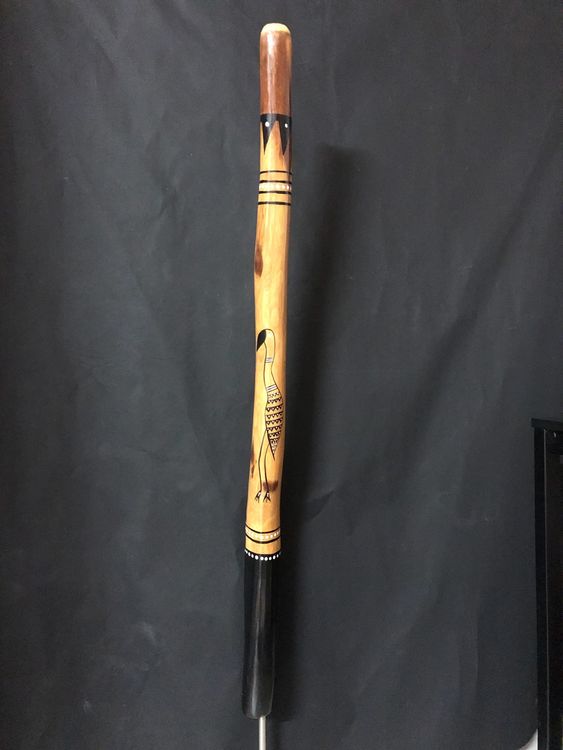EukalyptusDidgeridoo Kaufen auf Ricardo