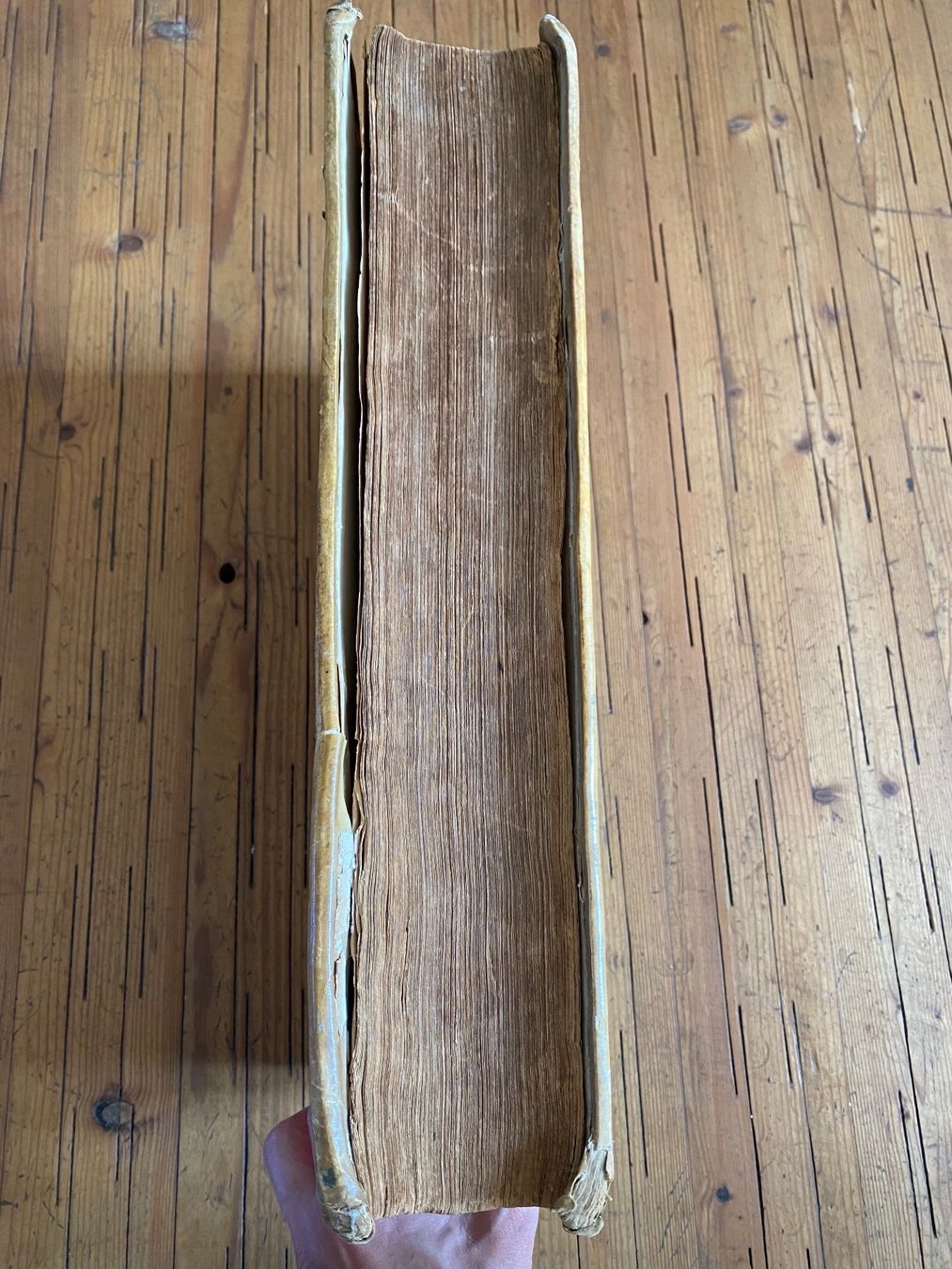 Libri: Bibelkonkordanz, 1632 – Usato da Basel venduto da Architrave1 9