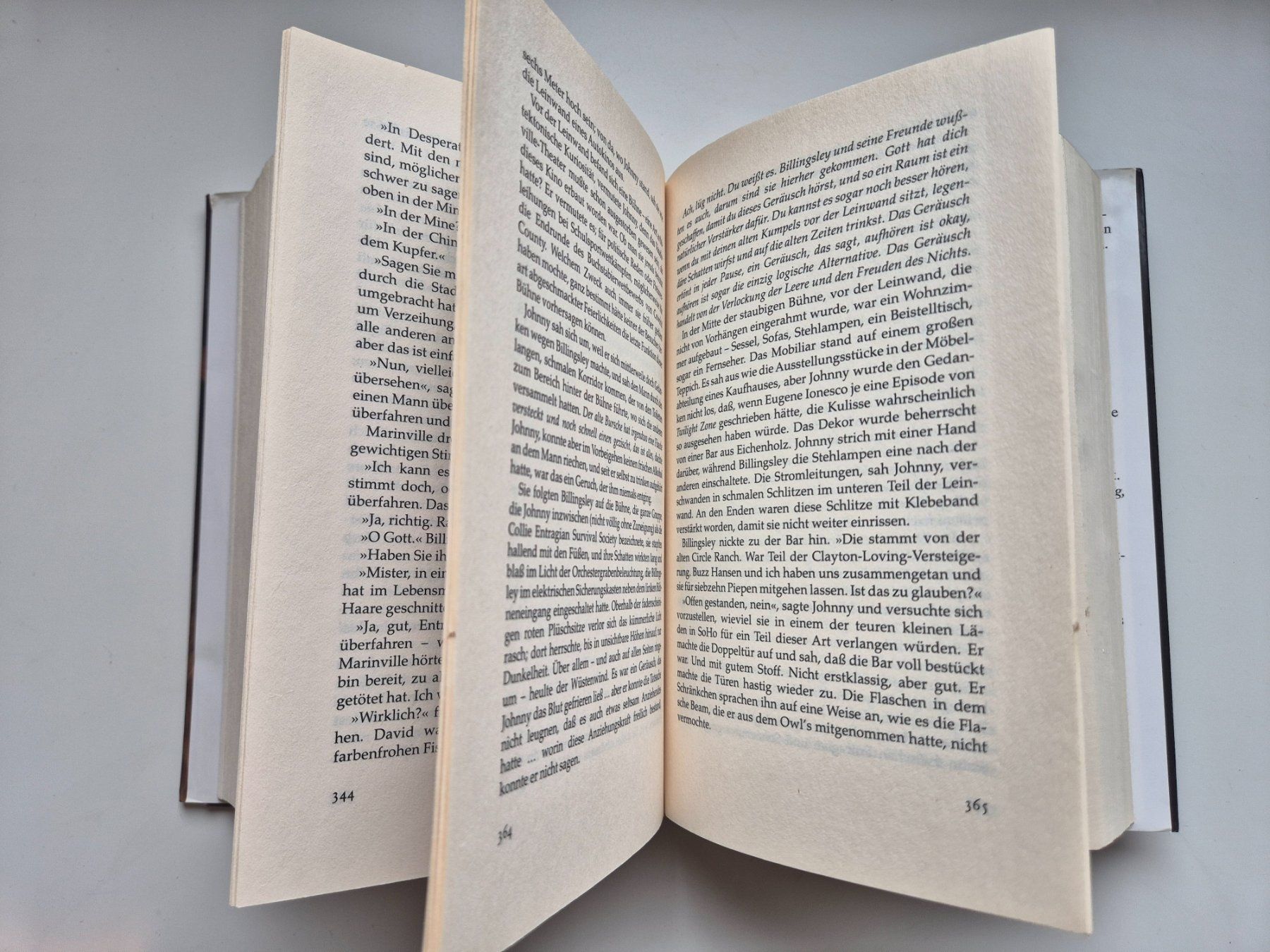 Bücher: DESPERATION    🐺🐍    von   Stephen King – Gebraucht aus Niederweningen von Obson 3