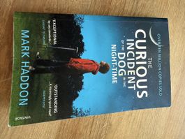 Buch The Curious Incident of the Dog in the Night-Time 