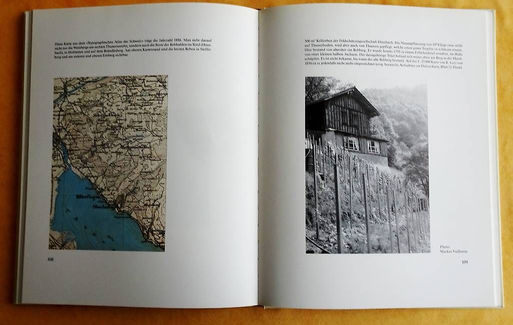 Libri: Thuner Reben - Thuner Wein – Usato da Bern venduto da janosh-08 2