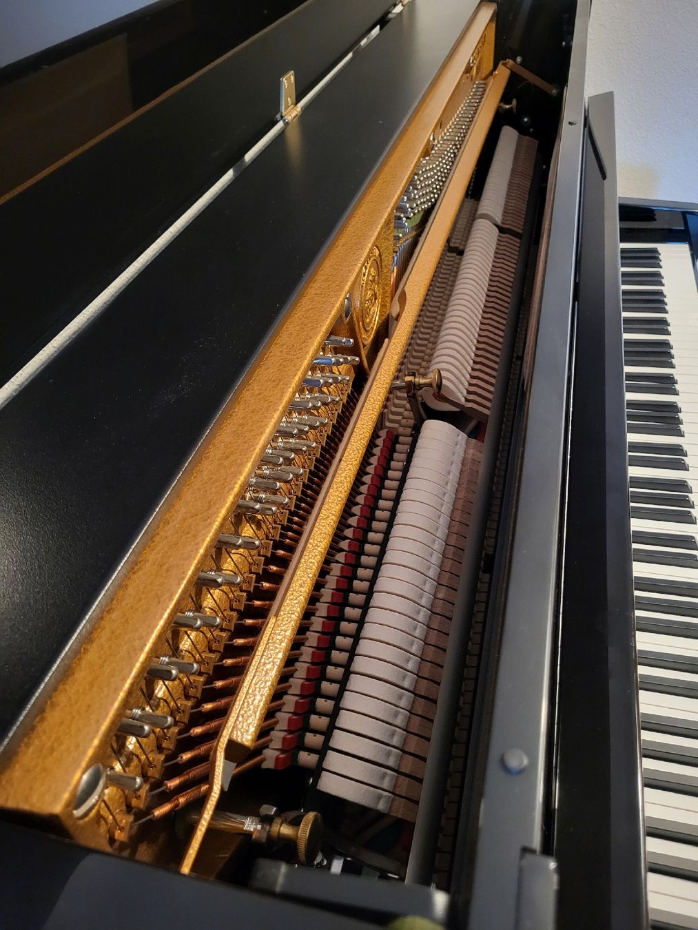 Strumenti musicali: C. Bechstein Contur 118 Klavier – Usato da zürich venduto da lorenzoscarfi 3