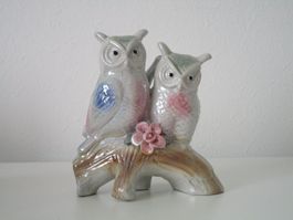 Uhu / Eule