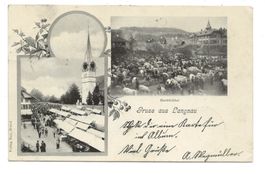 Gruss aus Langnau (BE) Viehmarkt - Jugendstil-AK - 1902