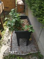 Jardinière surélevée en plastique