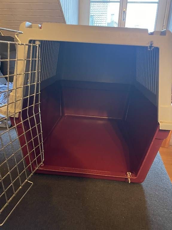 Gabbie, trasporto & Sicurezza: Transportbox für Hunde oder Katzen – Usato da Winterthur venduto da Xavira 2