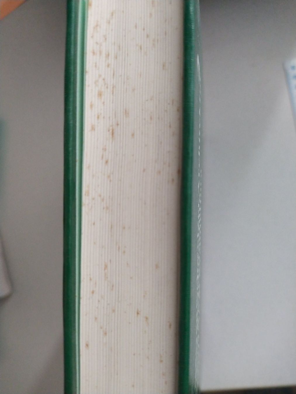 Libri: INSA Band 2: Städte Basel, Bellinzona, Bern – Nuovo (secondo la descrizione) da Sissach venduto da Heimat_Buch 3