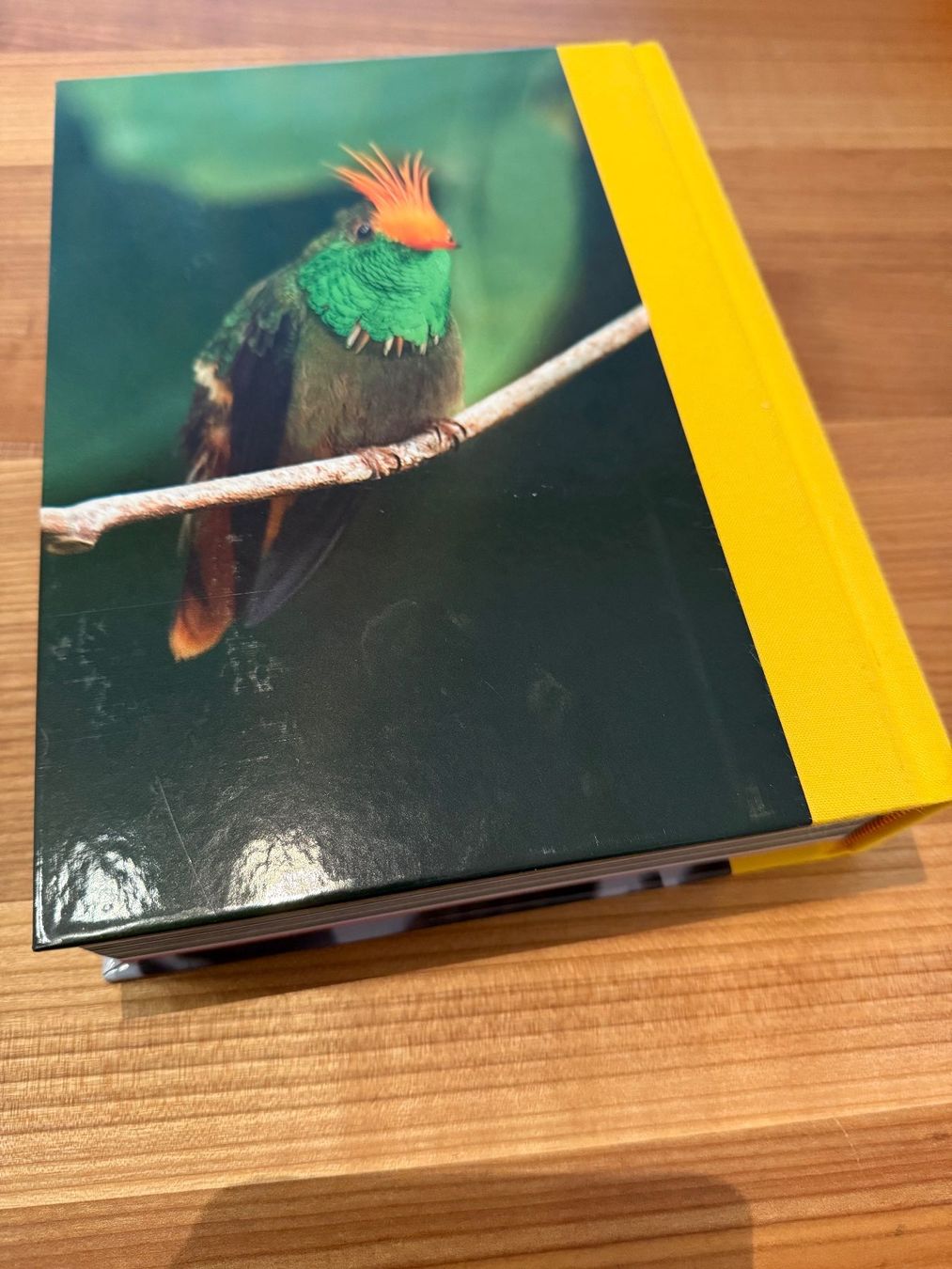 Bücher: birds in columbia murray cooper – Gebraucht aus Zürich von fehlton 2