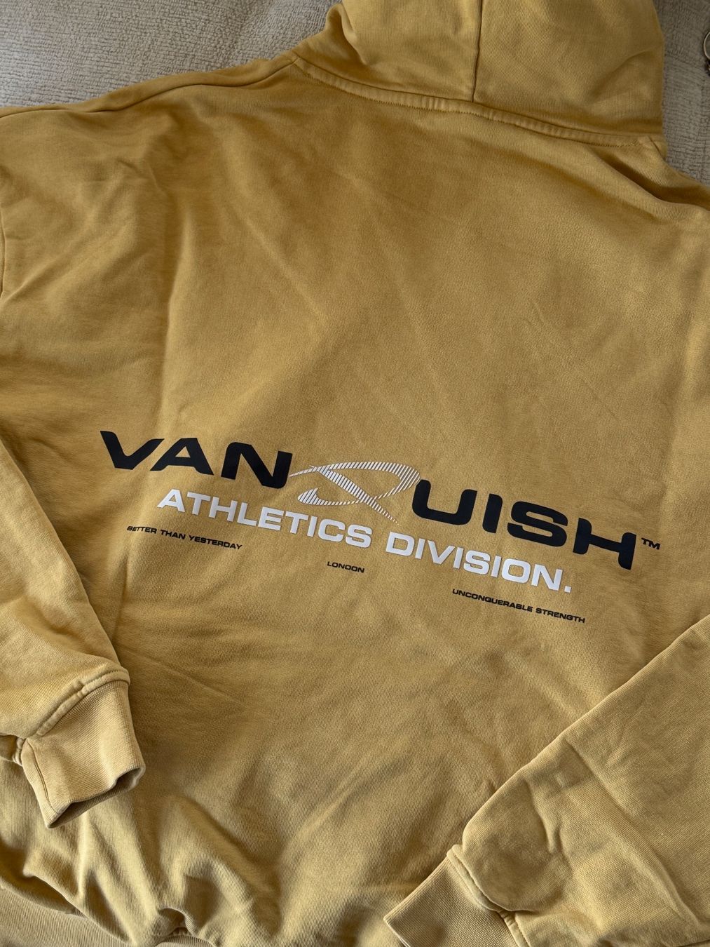 Maglioni & Felpe: Vanquish | Sweatshirt – Nuovo (secondo la descrizione) da Horgen venduto da onur_5 3