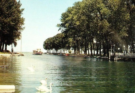 Cartes postales: YVERDON Embouchure de la Thielle – D'occasion à Jona par philajona