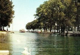 YVERDON Embouchure de la Thielle