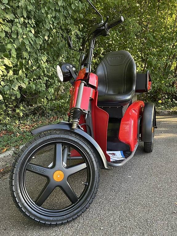 Veicoli elettrici: Kyburz Dxp Dx2 – Usato da Effretikon venduto da ugochan 2