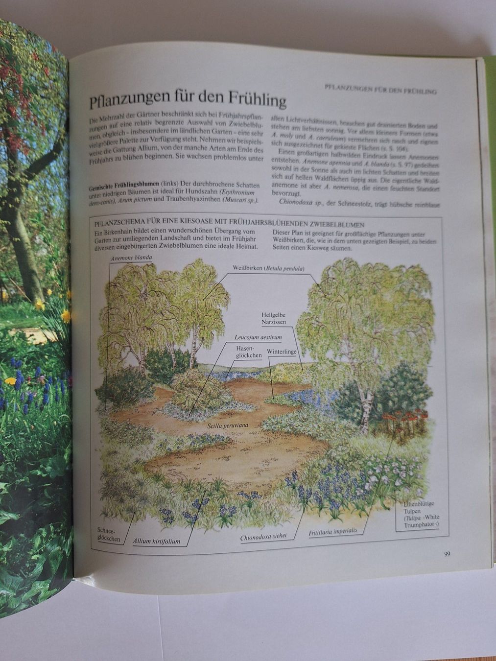 Libri: Garten im ländlichen Stil, John Brookes – Usato da Zürich venduto da t24_de 5