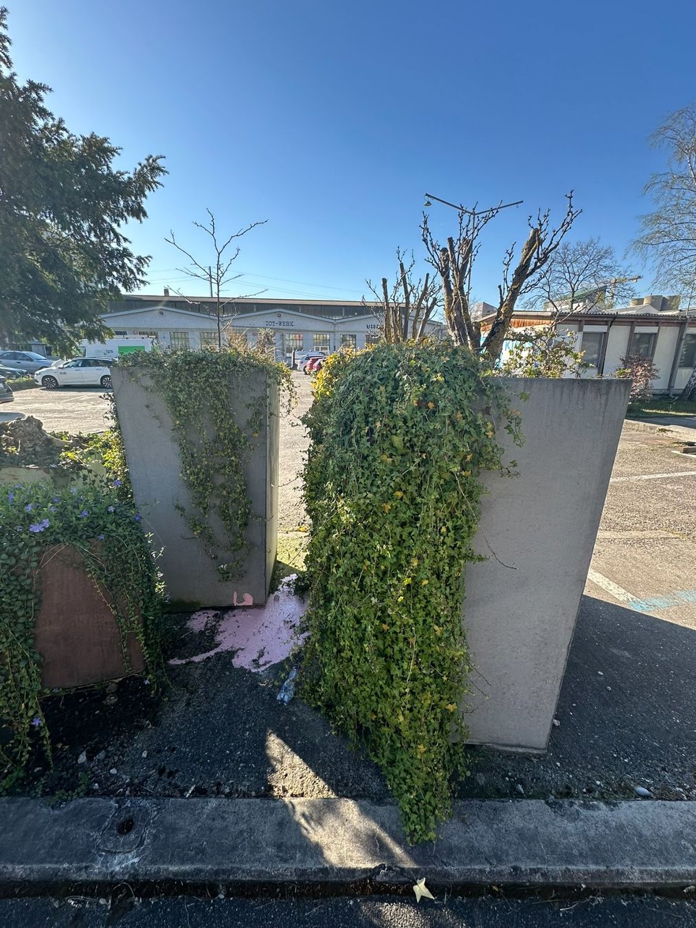 Vasi per fiori: 6 grosse Pflanzenkübel – Usato da Duggingen venduto da Sandy2708 4