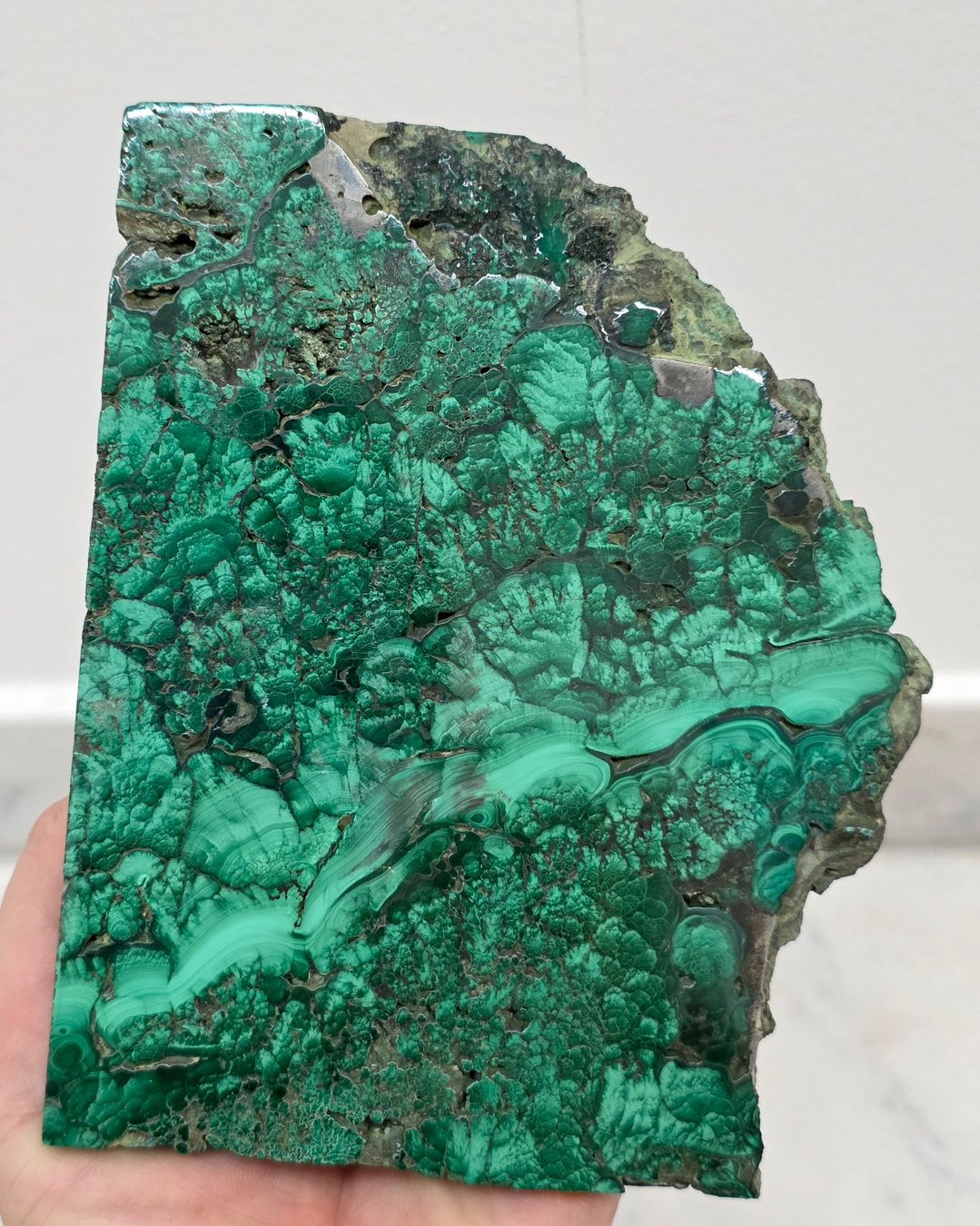 Minerali & Pietre curative: Malachit Scheibe B 423g – Nuovo e nell'imballaggio originale da Matzingen venduto da Shay_Crystalz 1