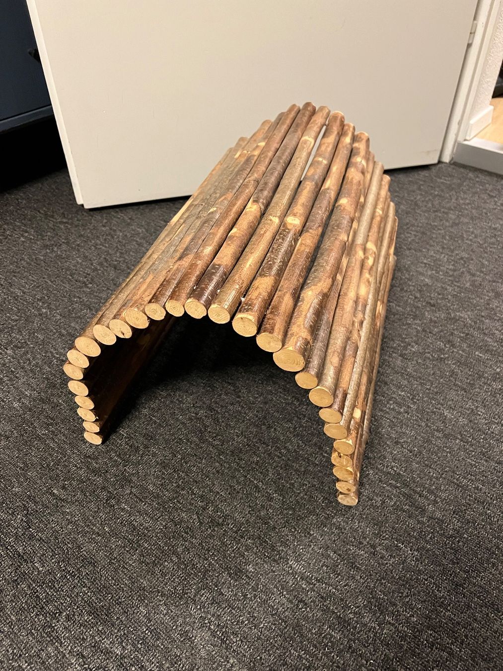 Gabbie, trasporto & Sicurezza: Holz tunnel – Usato da Brütten venduto da canuk