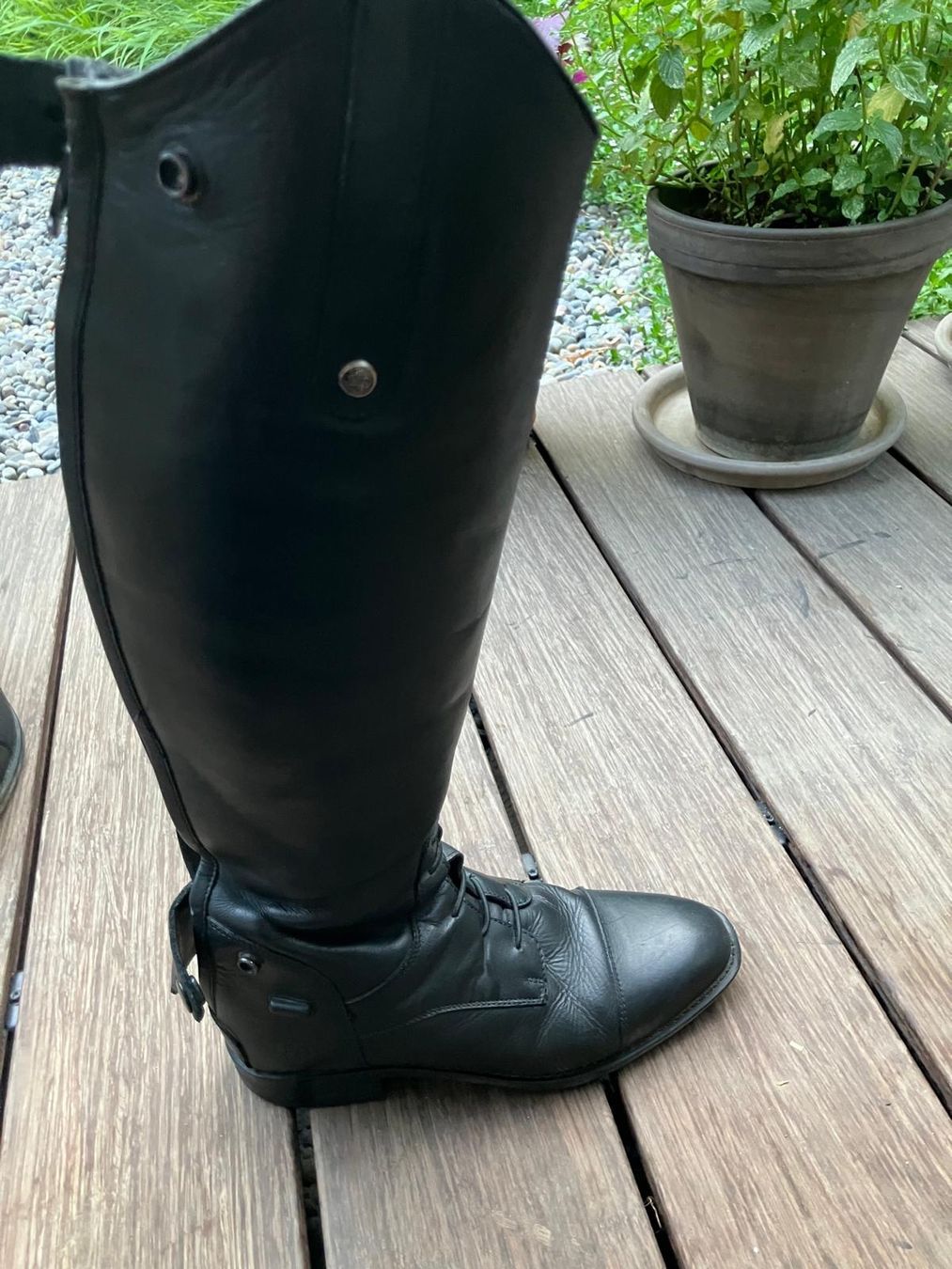 4Riders Scarpe per ragazze: Reitstiefel Leder Gr. 36 – Usato da Riehen venduto da salzkresse15 2