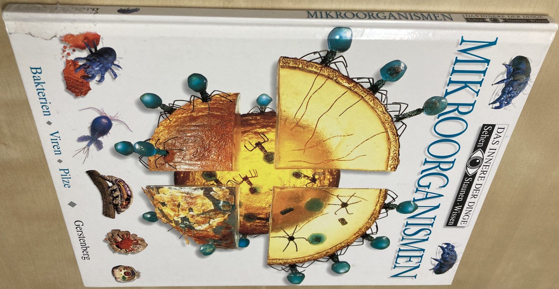Libri: MIKROORGANISMEN – Usato da Reinach BL venduto da Loma8 2